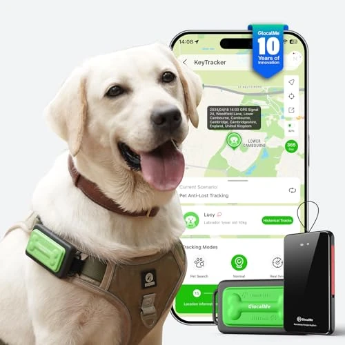 Offerta a tempo: GlocalMe KeyTracker GPS, 6 tecniche di localizzazione, 4G LTE Smart Tracker, live localizzazione, cronologia posizione, monitoraggio attività - 50% da 48.99 € a 24.50 €
