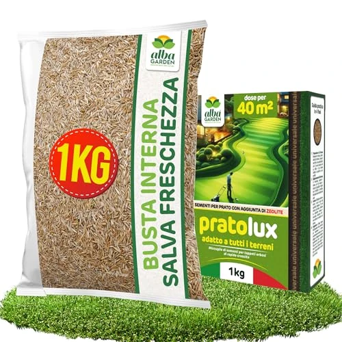 Albagarden - Semi Prato Universale Résistant à la Zone Ombreggiate et Soleggiate - Sementi Erba per Tappeti Erbosi - Calcicbile - Rapide Crescita per ogni Type di Terrain - 40 m²