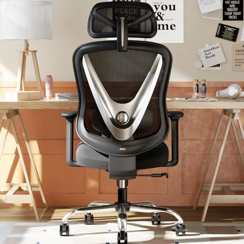 Zeitlich begrenztes Angebot: HOLLUDLE Ergonomischer Bürostuhl mit 3D Lendenstütze & 3D verstellbaren Armlehnen – V-förmiges Rücken-Design, bequemer Schreibtischstuhl für Büro & Zuhause, Schwarz von 169.99 € auf 159.99 € (6% Rabatt)