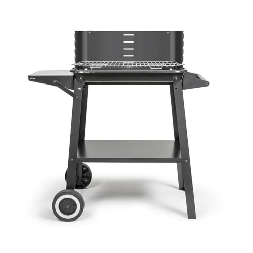 Offerta a tempo: Barbecue a charbon - LIVOO - DOC328 - Inox - 0.00% da 74.59 € a 74.59 €