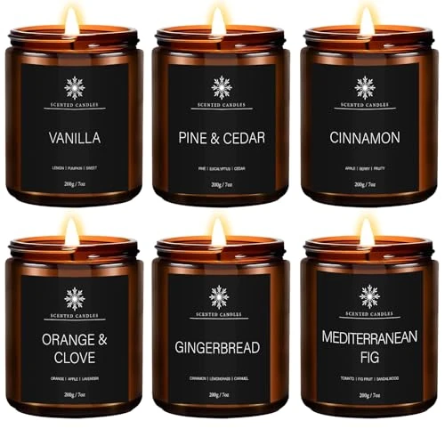 Offerta a tempo: Candele Profumate Invernali, 6 Candele Profumate Regalo Set,Naturale Candela in Vetro,1200g,Cera di Soia Candele Aromaterapia decorativo per Invernale Natalizie, Compleanno,Donna,Uomini - 33% da 29.59 € a 19.94 €