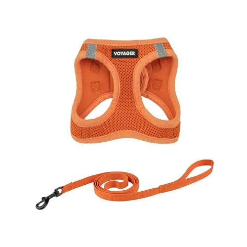 Zeitlich begrenztes Angebot: Voyager Step-in-Air-Geschirr für Katzen, Allwetter-Netzgewebe, Step-in-Weste, Geschirr für kleine und große Katzen, von Best Pet Supplies – Orange, XXXS (Brustumfang 27,9–30,5 cm) von 9.91 € auf 9.91 € (0.00% Rabatt)
