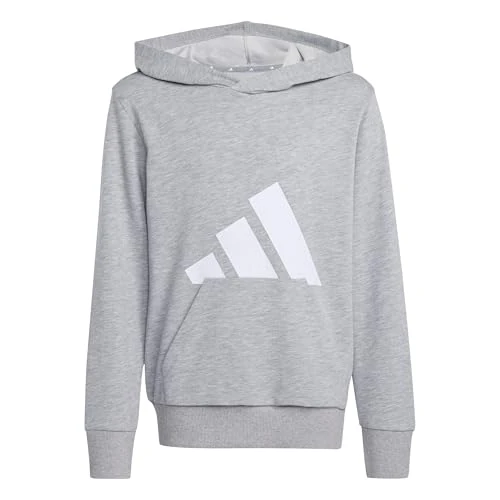 Offerta a tempo: adidas Mixte Enfant Essentials Big Logo Hoodie, Medium Grey Heather/White, 13-14 Years - 33% da 40.00 € a 26.91 €