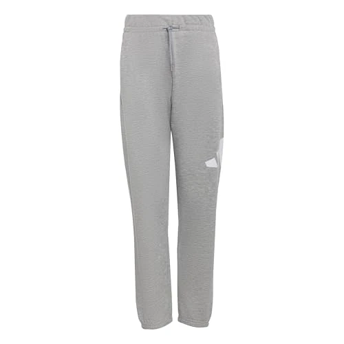 adidas Unisex - Bambini e Ragazzi Essentials Big Logo Pants, Medium Grey Heather/White, 11-12 Years
