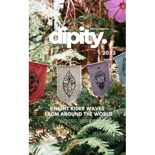Offre limitée : Dipity Literary Magazine Issue #3 (Knight Rider Waves): Softback Economy de 25.54 € à 24.15 € (5% de remise)