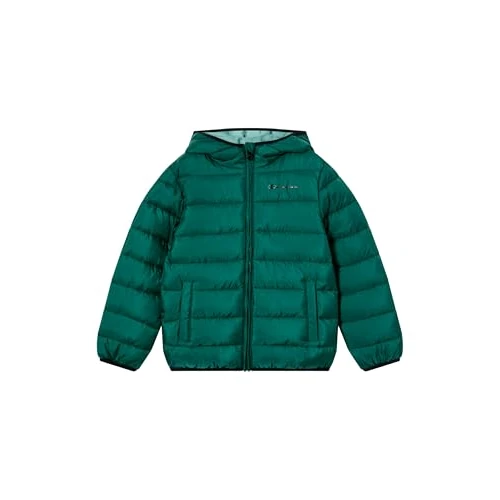 Limited-time offer: Champion Kids' Padded Hooded Jacket, water-repellent, lightweight, ciré shiny finish, protects from rain and wind, School and Outdoor activities from 37.02 £ to 37.02 £ (save 0.00%)