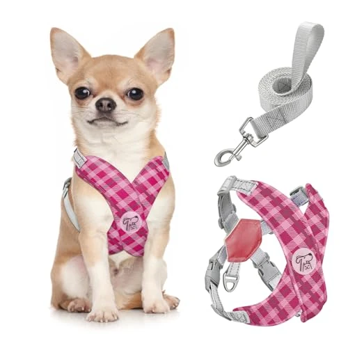 Offerta a tempo: Pawaboo Set di pettorina e guinzaglio per cani di piccola taglia, con struttura a X, anti-strappo, anti-soffocamento, regolabile, per cani di taglia piccola e media, morbida e traspirante, per - 35% da 17.99 € a 11.64 €