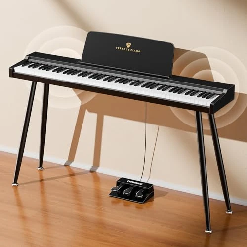 Tijdelijke aanbieding: E-Piano TERENCE semi-gewogen digitale piano met 88 toetsen in standaardformaat voor beginners en professionals met hoogwaardig geluid MIDI-aansluiting hoofdtelefoonaansluiting drievoudig pedaal van 269.99 EUR naar 210.89 EUR (korting 22%)