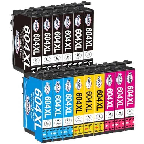 Paeolos 604 XL kartridże do drukarki, kompatybilne z Epson 604 604XL do Expression Home XP-3200 XP-3205 XP-4200 XP-4205 XP-2200 XP-2205, Workforce WF-2910 WF-2930 WF-2935 WF-2950 (11) 5 sztuk w