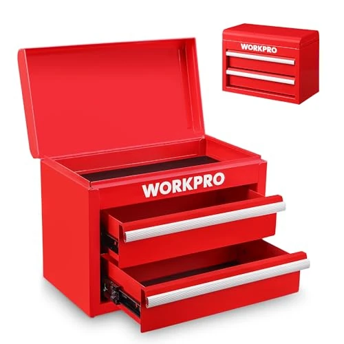 Offerta a tempo: WORKPRO Mini Cassetta degli Attrezzi in Metallo con 2 Cassetti e & - 42% da 42.99 € a 24.99 €