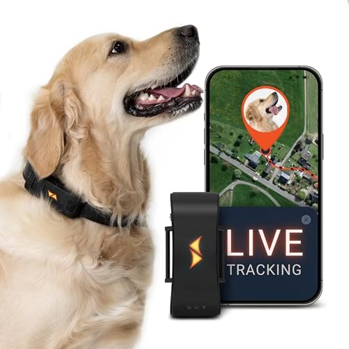 Limited-time offer: PAJ Tracker for Dogs - 4G - Runaway Alarms + UK & Worldwide Live Tracking - Up to 10 Days Battery Saving Mode - Dog Recall - with Illuminated LEDs - Waterproof (IP67) - Fits Any Collar - Black from 9.99 GBP to 9.99 GBP (save 0%)