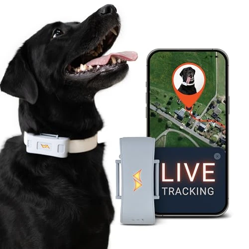 PAJ Tracker GPS per Cani 4G, Allarmi di Fuga, Monitoraggio Mondiale Tempo Reale - Fino 10gg in MOD. Risp. Batteria, Suoni Richiamo Cane, 100% Impermeabile, Adatto Tutti i Collari - Grigio