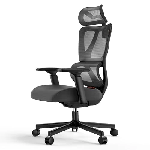Offerta a tempo: ProtoArc EC100 Sedia da Ufficio Ergonomica – Sedia da Scrivania con Cuscino a Molla da 10 cm, Supporto Lombare, Braccioli e Poggiatesta Regolabili, Sedia Girevole in Rete per Casa e Ufficio, Nera - 15% da 129.99 € a 109.99 €