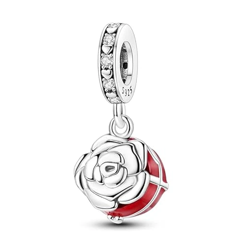 LIGHTDOG Charms in Argento 925,Compatibili con Braccialetti Europei e Braccialetti Pandora,Regali per Braccialettis Charms da donna per Ragazze