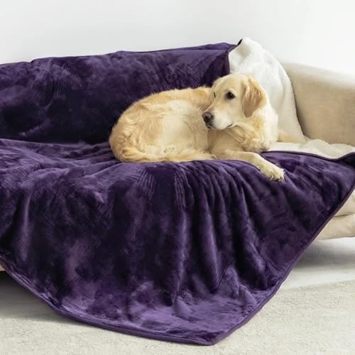 Offerta a tempo: Dreamzie - Coperta Impermeabile per Cani - 127x152 cm - Viola - 64% da 32.99 € a 11.99 €