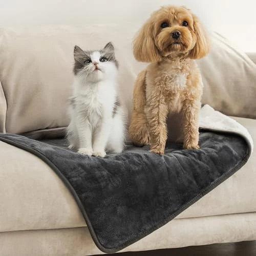 Offerta a tempo: Dreamzie - Coperta Impermeabile per Cani - 63x88 cm - Grigio Scuro - 0.00% da 22.99 € a 22.99 €
