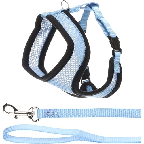Offerta a tempo: Flamingo Gatto Pettorina con guinzaglio Gattino Harms Azzurro 28cm 32-41cm 110cm 10mm - 0.00% da 9.99 € a 9.99 €