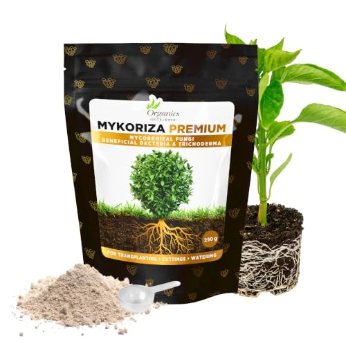 Zeitlich begrenztes Angebot: Organics Nutrients Mykoriza – Mykorrhiza Organisches Pulver mit Endo- und Ektomykorrhizapilzen zur Förderung des Wurzelwachstums, Nährstoffaufnahme und Ernteertrag von 53.90 € auf 53.90 € (0.00% Rabatt)