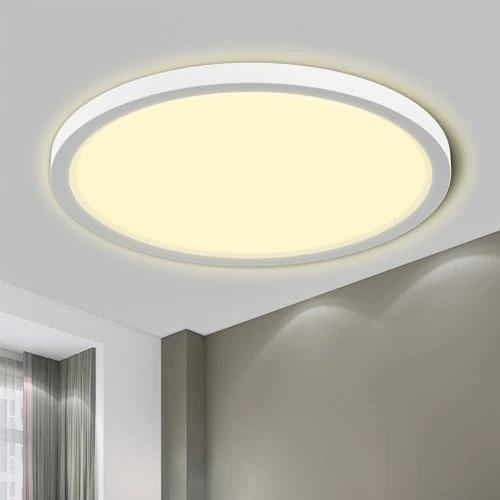 LQWELL® LED Plafonnier, 1,6CM Ultra Fin Rond Plat IP44 ÉTanche Lampe De Salle De Bain 24W 3000K 2500LM Moderne Pour Salon Chambre Cuisine Balcon Sous-Sol Bureau, 220 X 16mm