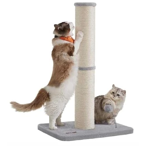 Offerta a tempo: Feandrea Albero tiragraffi alto 85 cm colonna tiragraffi albero gatto tiragraffi per — 14% da 31,72 € a 27,30 €