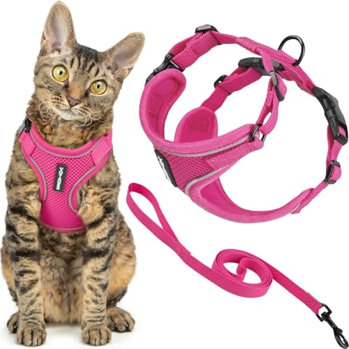 Offre limitée : Best Pet Supplies Voyager Ensemble Harnais et Laisse Anti-Fugue pour Chat avec Coutures réfléchissantes, poignée néoprène, 1,5 m, pour Chats de Petite, Moyenne et Grande Taille, Fuchsia, Taille S de 24.35 € à 24.35 € (0.00% de remise)