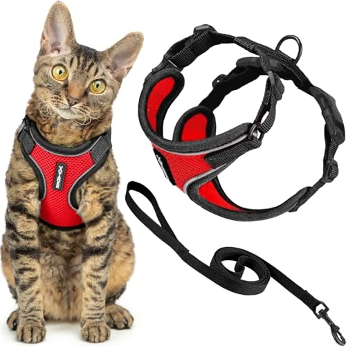 Oferta limitada: Voyager Best Pet Supplies - Juego de arnés y Correa para Gato a Prueba de Escapes, con Costuras Reflectantes, Mango de Neopreno de 1,5 m, soporta Gatos pequeños, medianos y Grandes, Gatitos para de 7.93 € a 7.93 € (ahorro 0.00%)