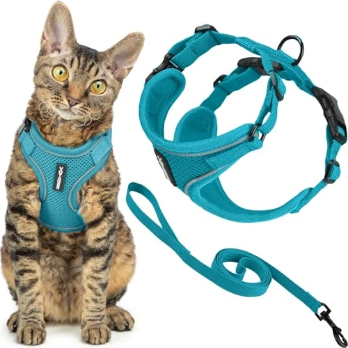 Oferta limitada: Voyager Best Pet Supplies - Juego de arnés y Correa para Gato a Prueba de Escapes, con Costuras Reflectantes, Mango de Neopreno de 1,5 m, soporta Gatos pequeños, medianos y Grandes, Gatitos para de 21.04 € a 21.04 € (ahorro 0.00%)