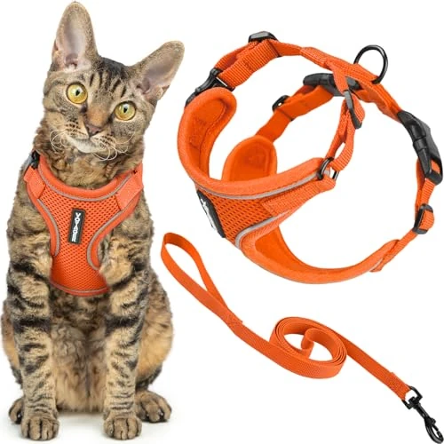 Voyager - Set di pettorina e guinzaglio per gatti a prova di fuga con cuciture riflettenti, manico in neoprene da 1,5 m, supporta gatti piccoli, medi e grandi, gattini da passeggio di Best Pet
