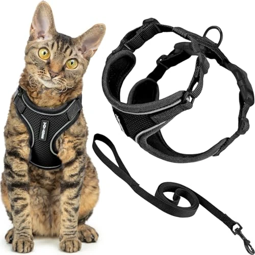 Voyager - Set di pettorina e guinzaglio per gatti a prova di fuga con cuciture riflettenti, manico in neoprene da 1,5 m, supporta gatti piccoli, medi e grandi, gattini da passeggio di Best Pet