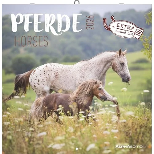 Pferde 2026 - Broschürenkalender 30x30 cm (30x60 geöffnet) - Kalender mit Platz für Notizen - Horses - Bildkalender - Wandplaner - Pferdekalender: Horses