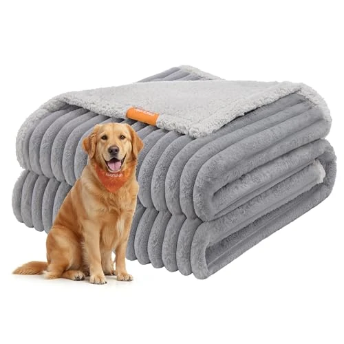 Feandrea Tapis Chien Imperméable, Taille XXL, 203 x 152 cm, pour Chiens de Grande et Très Grande Tailles, Conception Réversible, Housse de Canapé, Lavable, Gris Tourterelle et Gris Clair PPB038G01