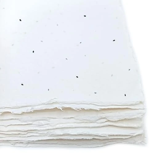 Offerta a tempo: Fogli A4 in Carta Piantabile Fatta a Mano, con Bordi irregolari, 21x29,7cm, 300 g/m2, Confezione da 10, per inviti, biglietti, partecipazioni, Made in Italy (Con Semi di Basilico) - 0.00% da 21.90 € a 21.90 €