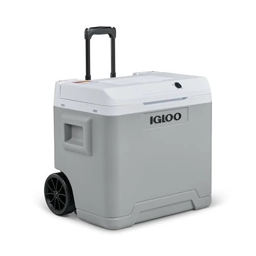 IGLOO IE42 elektrische koelbox 42L – 12V en 230V – Thermo-elektrische koelbox met wielen en telescoopgreep voor auto, camper, camping en vrachtwagen – Koelt tot 20 °C onder de omgevingstemperatuur