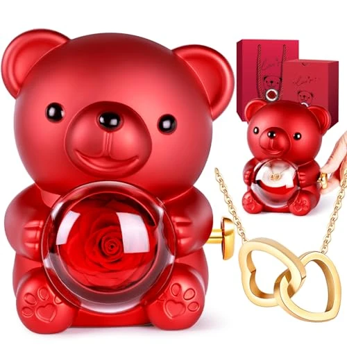 Teddybeer met Eeuwige Roos en Ketting, Rozenbeer Verjaardagscadeaus voor Vriendin of Moeder, Verjaardagscadeau voor Vrouwen, Gepersonaliseerd Valentijnsgeschenk Haar, Moederdag (Rood-SX)