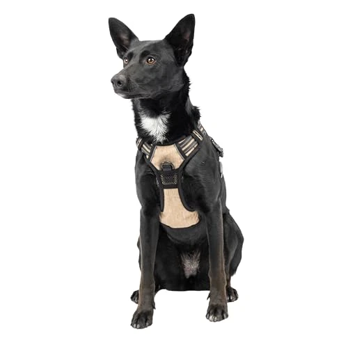 Limited offer: Ferplast Vigor Dog Training Harness from 33.00 EUR to 28.05 EUR (save 15%)