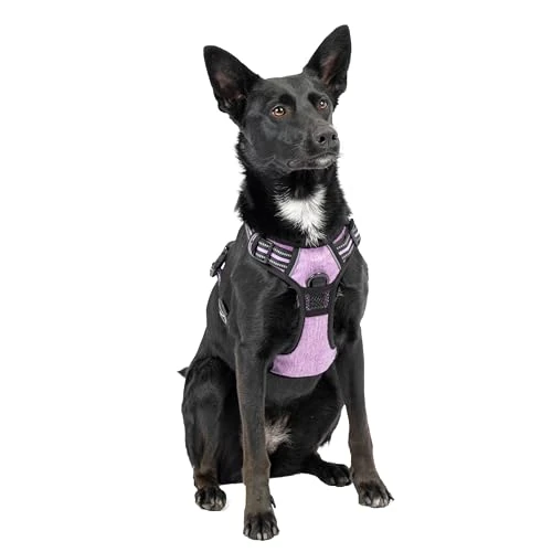 Limited-time offer: Ferplast Dog Harness Medium Dog, 2 Hooks for Maximum Control, No Pull Harness Adjustable Dog Harness, Reflective, Breathable, Dog Harness Ideal for Training M, Purple from 23.79 £ to 23.79 £ (save 0.00%)
