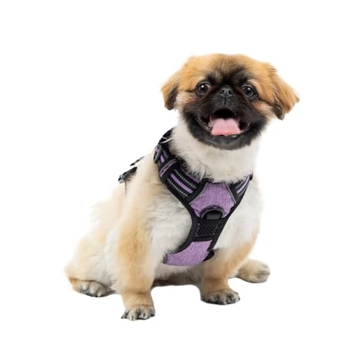 Limited-time offer: Ferplast Dog Harness Small Dog, 2 Hooks for Maximum Control, No Pull Harness Adjustable Dog Harness, Reflective, Breathable, Dog Harness Ideal for Training S, Purple from 22.99 GBP to 22.99 GBP (save 0%)