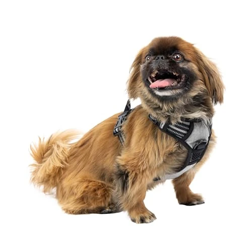 Offerta a tempo: Ferplast Pettorina Cane Taglia Piccola, 2 Ganci per Massimo Controllo, Anti Tiro, Pettorina Cane Regolabile, Riflettente, Traspirante, Imbracatura Cani ideale per Addestramento S, Grigia - 41% da 29.90 € a 17.54 €