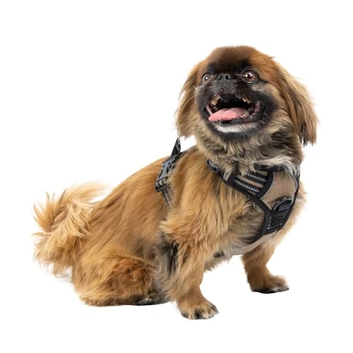 Limited offer: Training Harness with Dual Leash Rings by Ferplast from 23.99 EUR to 13.49 EUR (save 44%)