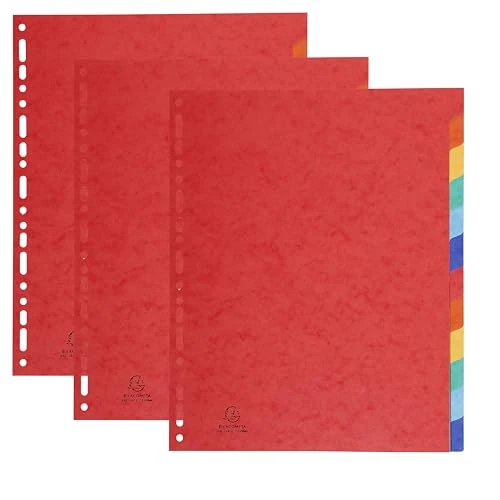 Offerta a tempo: Exacompta - Rif. 2412SE - Set di 3 divisori in vera carta lucida morbida 225 g/m2 FSC con 12 linguette neutre, formato A4 maxi dim 24,5 x 29,7 cm, colori assortiti - 19% da 7.65 € a 6.16 €