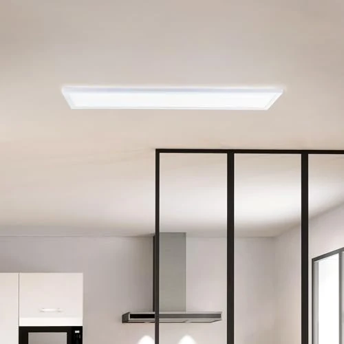 Oferta limitada: Brilliant Panel LED de superficie Basic | 25 x 96 cm | panel de pared y techo con marco blanco y color de luz blanco neutro (4000 K) | 24 W | 3200 lm | para cualquier habitación | de plástico de 55.99 EUR a 55.99 EUR (ahorro 0%)
