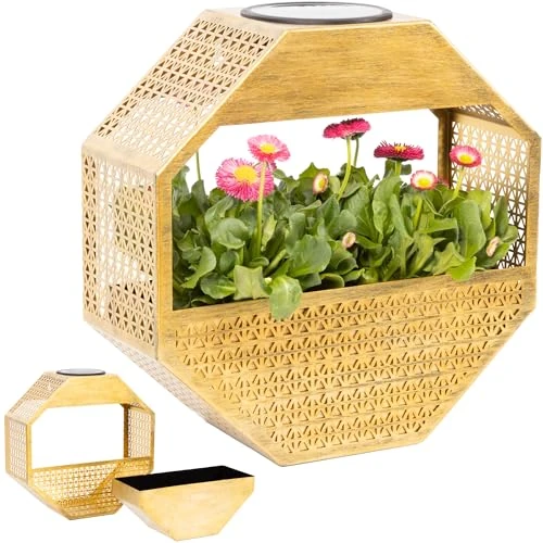Offerta a tempo: Gadgy Lampada solare da parete con vaso da fiori – Fioriera illuminata per balcone e terrazza – Illuminazione giardino resistente - 41% da 16.99 € a 10.00 €