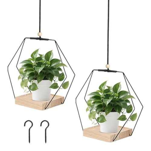 Fouvin 2 Stück Blumenampel Hängend Innen, Hängeblumentopf Hängeampel, Hängeampel Mit Holzsockel, Decke Hängende Pflanzer, Hängender Blumentopf Hängend, Mit Aufhängehaken, Wohnzimmer Balkon Deko