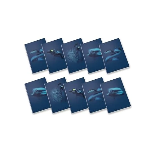 Pigna, Maxi Notebook Monochrome Blue, A4, Inner Paper 100 g/m², 72 Pages + Flap 5 M Inside, 5 mm Squares, Assorted Subjects, Pack of 10