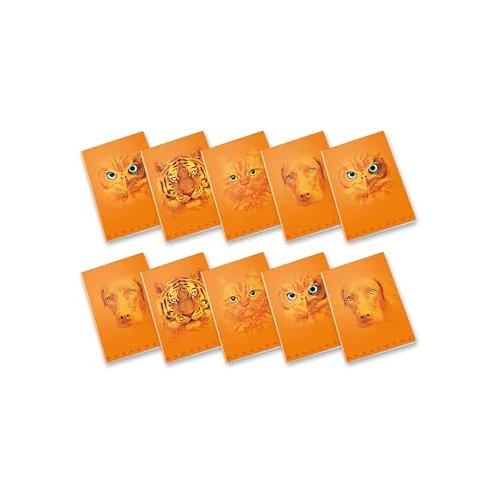Pigna, Maxi Notebook Monochrome Orange, A4, Inner Paper, 100 g/m², 72 Pages + Flap 1R Inner Lines, Assorted Subjects, Pack of 10