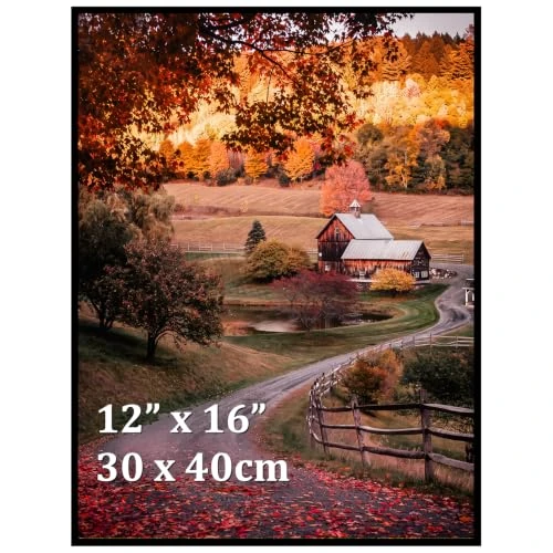 Offerta a tempo: Ditwis Cornice 30x40 Nera, per Poster, Foto e Opere d'Arte 40x30 cm, Portafoto da Parete per Casa, Ufficio e Gallerie - 0.00% da 14.99 € a 14.99 €