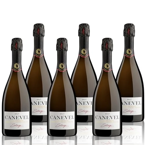 Begrenztes Angebot: CANEVEL "SETÀGE BRUT" 2024 | Valdobbiadene Prosecco Superiore DOCG | 6x750 ml |6 Kastenflaschen von 84.00 EUR auf 84.00 EUR (Rabatt 0%)