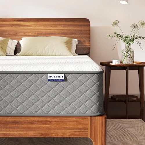 MOLPHIT Mattress 160 x 190 cm Oeko-Tex Certified – 25 cm Thick High Density Memory Foam with Individual Pocket Springs, 7 Zones Ergonomic Lumbar Support