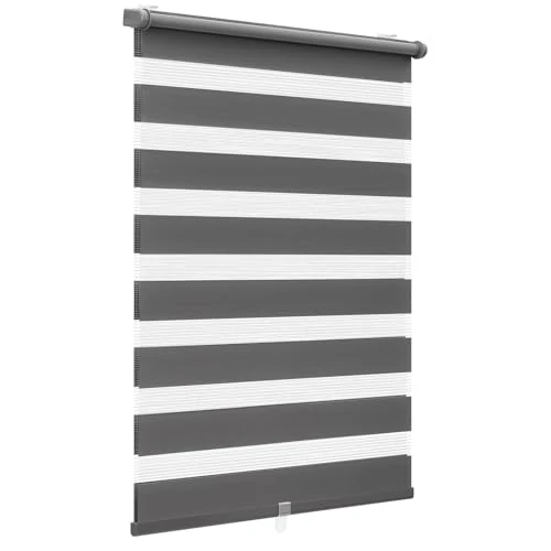 Offerta a tempo: Sekey Doppia tenda a rullo, fissaggio senza fori, 40 x 100 cm, grigio scuro - 0.00% da 20.53 € a 20.53 €