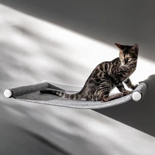 AZANO® Kattenhangmat XL metaal | designer klimwand katten | kattenbed muur | extra groot en stabiel - (grijs)